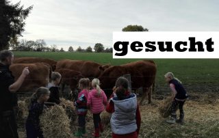 Baumhoers Lippeauenblick